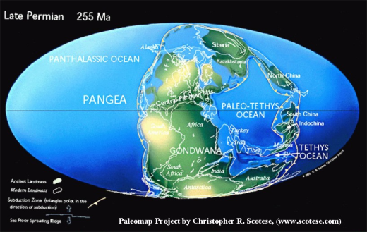 Paleomap 255