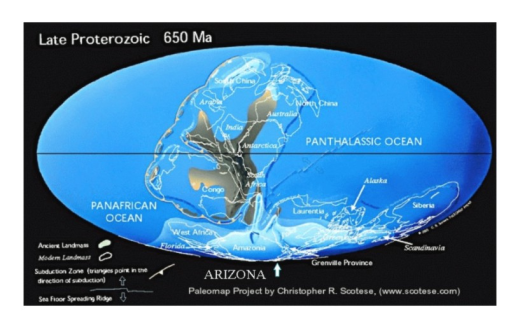 Paleomap  650