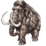 Mammoth