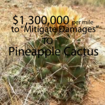 mitigate-Pineapple-Cactus