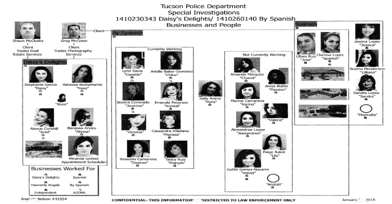 organizational-chart-dps