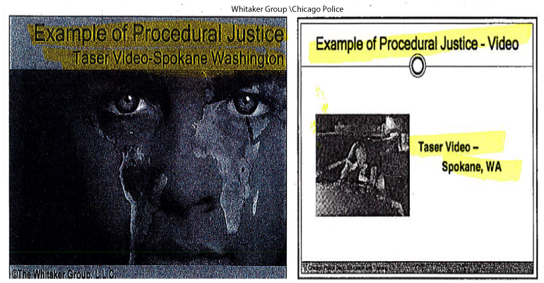 whitaker-group-example-4