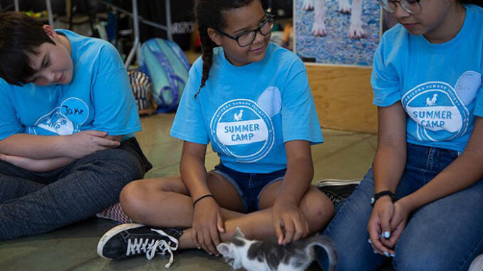 Jake Morse Ellingto,Nadia James, 11,Victoria Veloz,