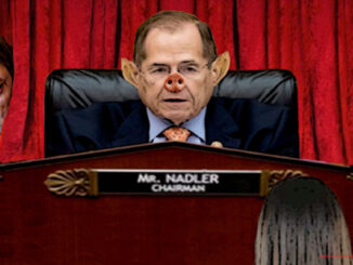 jerry nadler comic