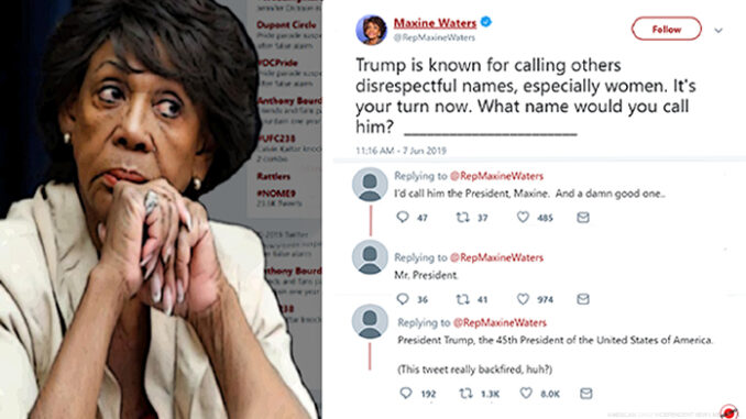 maxine waters comic