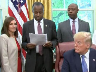 trump mcsally carson white house