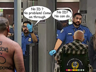 tsa comic