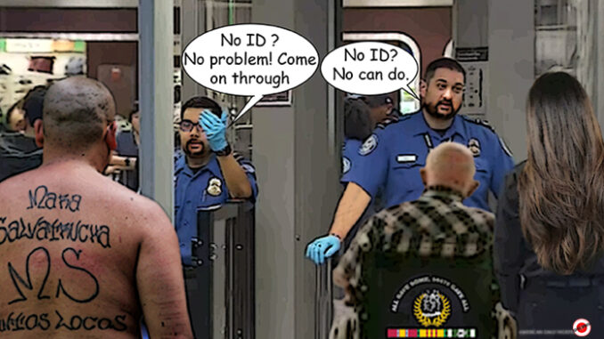 tsa comic