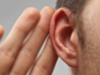ear