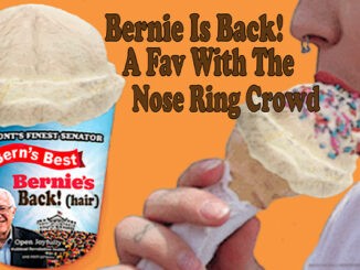 bernie sanders comic