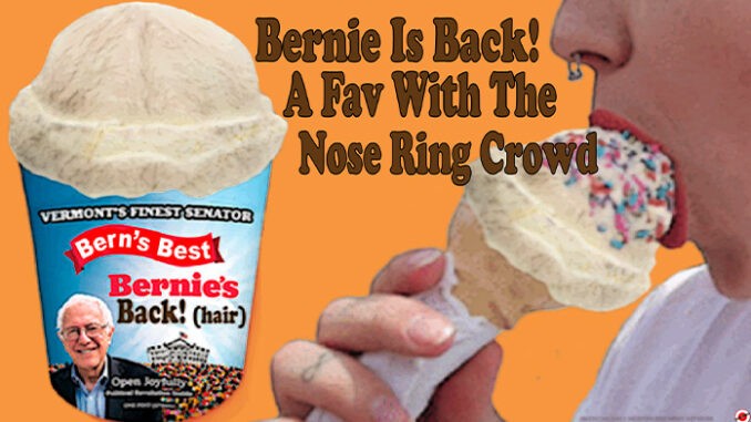 bernie sanders comic