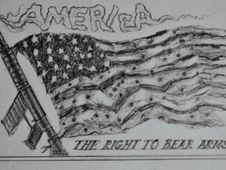 lasley right to bear arms comic