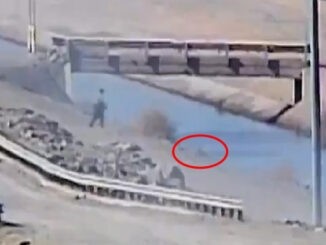 border patrol rescue