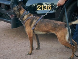 el mirage k9 koki killed