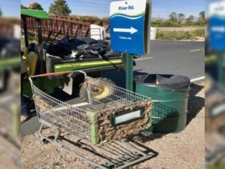 Grocery cart abandoned