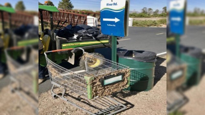 Grocery cart abandoned