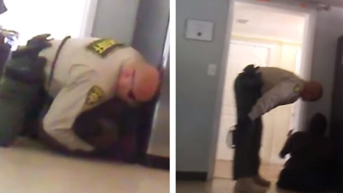 pima county deputy attacks