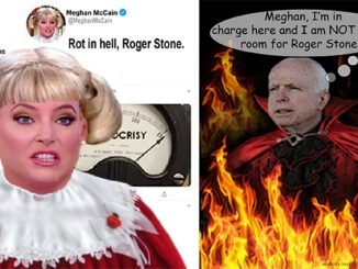 meghan mccain roger stone comic