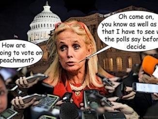 debbie dingell comic