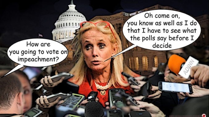 debbie dingell comic