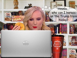 Meghan McCain Comic