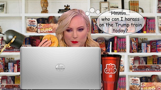 Meghan McCain Comic