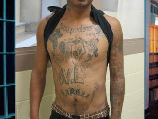 Gonzalo García-Gonzales