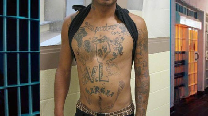 Gonzalo García-Gonzales