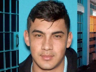 Jose Arturo Navarrete