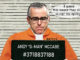 andy mccabe comic