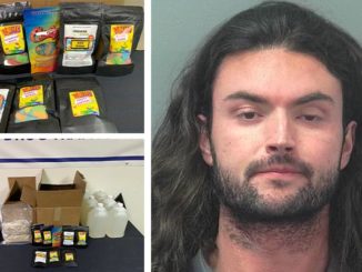 Logan Lewis Pederson