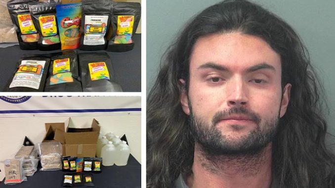 Logan Lewis Pederson