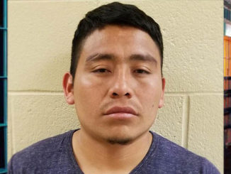 Alexander Morales-Domingo