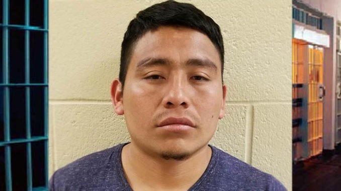 Alexander Morales-Domingo