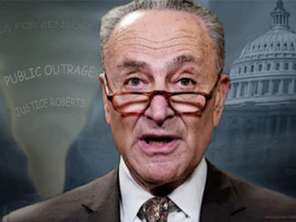 chuck schumer comic