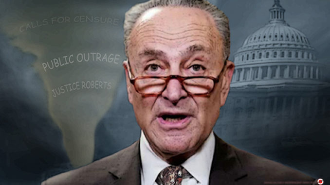chuck schumer comic